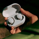 Bose QuietComfort True Wireless Noise Cancelling In-Ear Earbuds - White Smoke