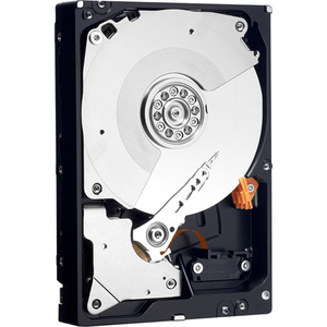 WD WD2503ABYX 250 GB Hard Drive - 3.5" Internal - SATA (SATA/300)